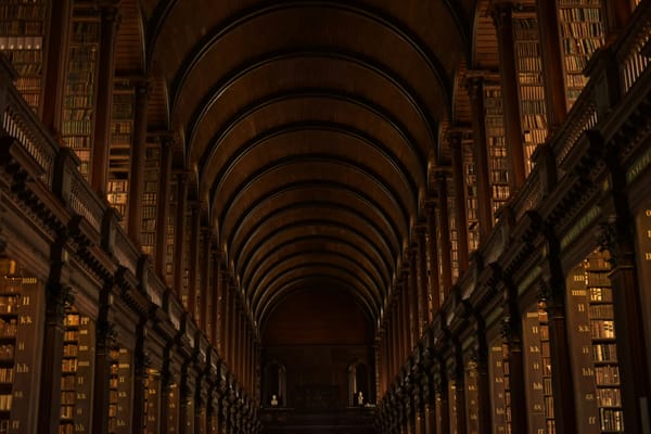 D100 Books in a Pyoran Library